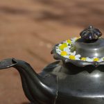Read more about the article Feng Shui | Energia si sanatatea