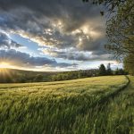 Read more about the article Feng Shui | Calitatea energiei in spatiile in care traiesti